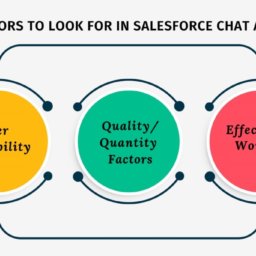 factors to look for in Salesforce chat app