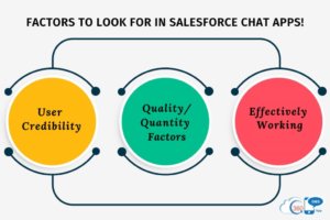 Factors That Determine the Chosen Salesforce Chat App as Best
