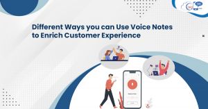 Different Ways you can Use Voice Notes to Enrich Customer Experience