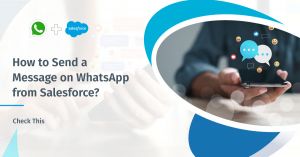How to Send a Message on WhatsApp from Salesforce? Check This