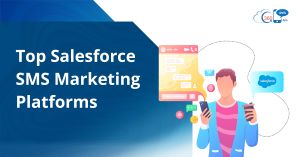 Top Salesforce SMS Marketing Platforms: Evaluated