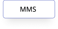 Group 1000014613
