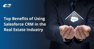 Introduction to Salesforce CRM in the Real Estate Industr